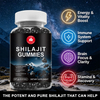 Private Label Premium Shilajit Gummies – Himalayan Fulvic Acid Complex for Energy, Vitality & Cognitive Support, Private Label Ready