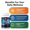 Private Label Premium Shilajit Capsules – Himalayan Fulvic Acid Complex for Energy, Vitality & Male Wellness Support