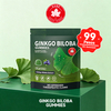 Private Label Ready Ginkgo Biloba Gummies – Memory & Focus Support with Bacopa