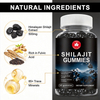 Private Label Premium Shilajit Gummies – Himalayan Fulvic Acid Complex for Energy, Vitality & Cognitive Support, Private Label Ready