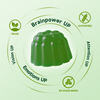 Private Label Ready Ginkgo Biloba Gummies – Memory & Focus Support with Bacopa