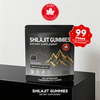 Private Label Ready Premium Shilajit Gummies – Standardized Fulvic Acid for Energy & Vitality