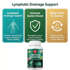 Private Label Lymphatic Drainage Support Capsules – Herbal Blend with Burdock Root, Cleavers & Echinacea for Fluid Balance