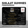 Private Label Ready Premium Shilajit Gummies – Standardized Fulvic Acid for Energy & Vitality