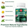 Private Label Lymphatic Drainage Support Capsules – Herbal Blend with Burdock Root, Cleavers & Echinacea for Fluid Balance